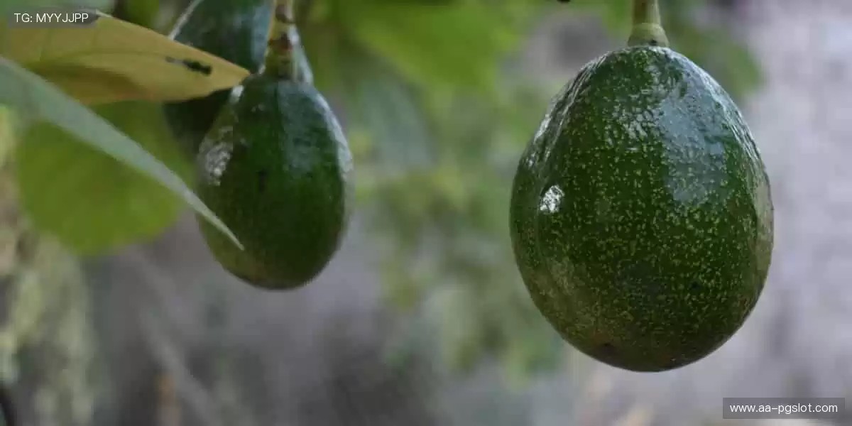 🎥多屏互动,实时弹幕,让观赛更有温度!